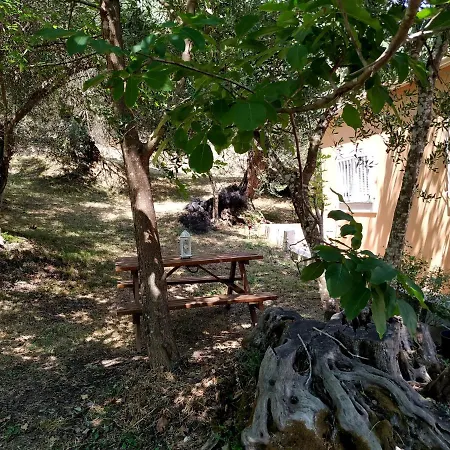Family With Garden & Bbq Holiday home *