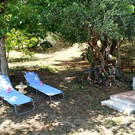 Family With Garden & Bbq