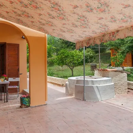 Family With Garden & Bbq