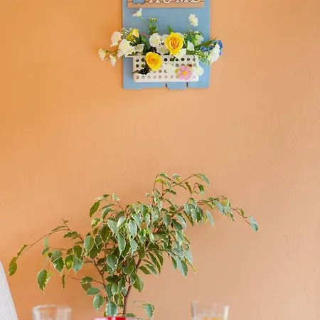 Family With Garden & Bbq