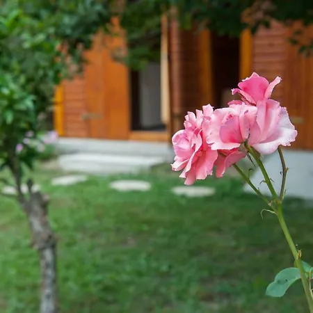 Family With Garden & Bbq * Velonádes