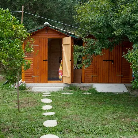 Family With Garden & Bbq