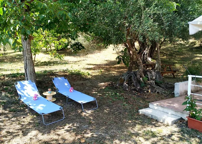 Family With Garden & Bbq