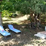 Family With Garden & Bbq
